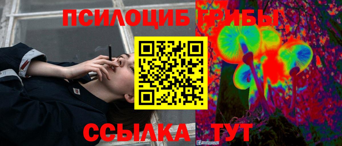 Клин  Галлюциногенные грибы Psilocybe  Вход с VPN 